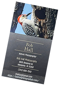 Bus Card