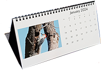 Clendar